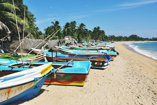   (Arugam Bay)